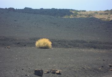 Lavafield in El Teide (E)